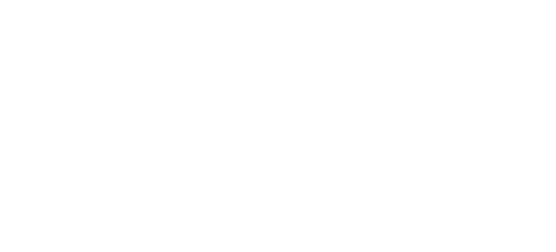 CEGA Entertainment Solutions